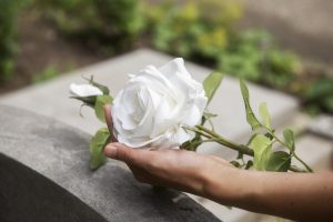 Mano sosteniendo una rosa blanca fresca con fondo de jardín desenfocado